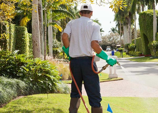 About Bendersville PA Pest Control